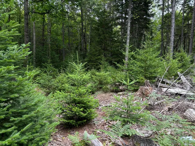 $127,500 | M5-l13-3 Spruce Head Road, South Thomaston, ME 04858