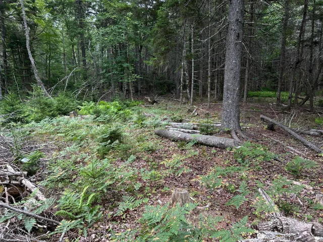 $127,500 | M5-l13-3 Spruce Head Road, South Thomaston, ME 04858