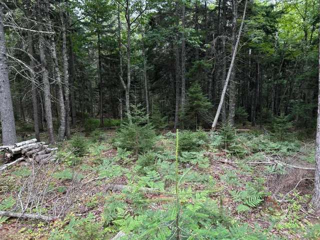 $127,500 | M5-l13-3 Spruce Head Road, South Thomaston, ME 04858