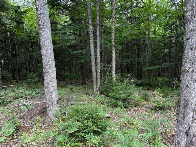 $127,500 | M5-l13-3 Spruce Head Road, South Thomaston, ME 04858