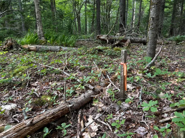 $127,500 | M5-l13-3 Spruce Head Road, South Thomaston, ME 04858