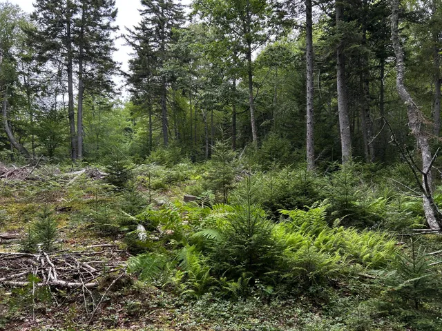 $127,500 | M5-l13-3 Spruce Head Road, South Thomaston, ME 04858