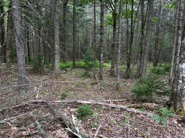 $127,500 | M5-l13-3 Spruce Head Road, South Thomaston, ME 04858