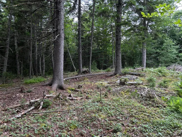 $127,500 | M5-l13-3 Spruce Head Road, South Thomaston, ME 04858