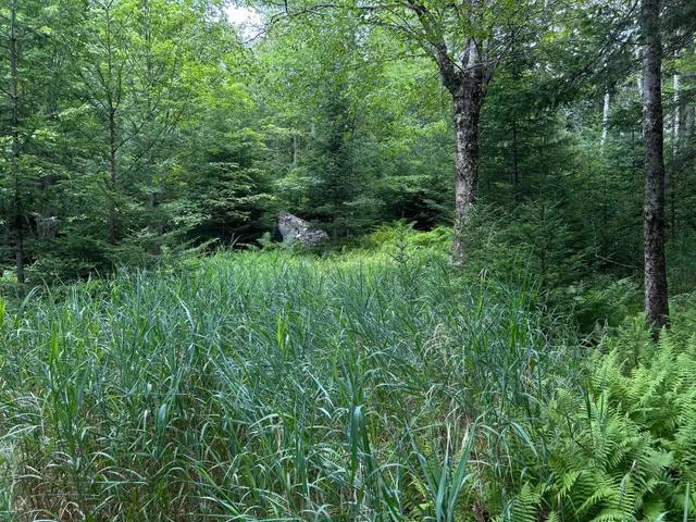 $127,500 | M5-l13-3 Spruce Head Road, South Thomaston, ME 04858