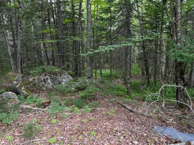 $127,500 | M5-l13-3 Spruce Head Road, South Thomaston, ME 04858