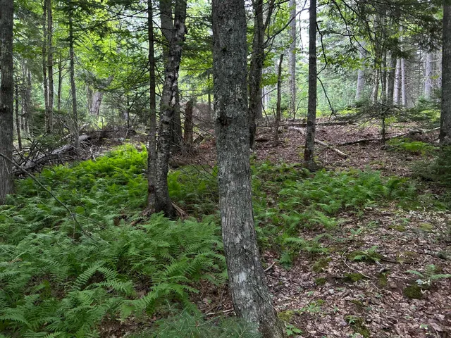 $127,500 | M5-l13-3 Spruce Head Road, South Thomaston, ME 04858