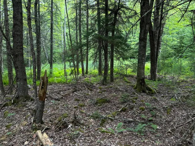 $127,500 | M5-l13-3 Spruce Head Road, South Thomaston, ME 04858