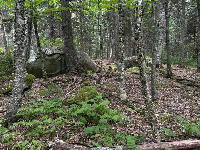 $127,500 | M5-l13-3 Spruce Head Road, South Thomaston, ME 04858