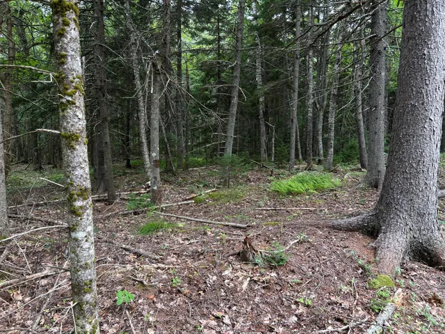 $127,500 | M5-l13-3 Spruce Head Road, South Thomaston, ME 04858