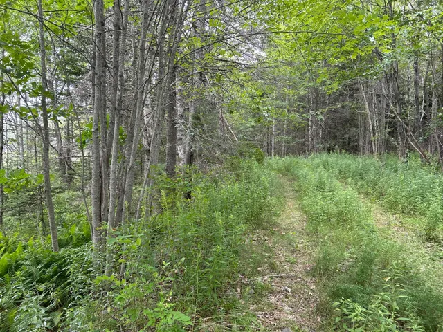 $127,500 | M5-l13-3 Spruce Head Road, South Thomaston, ME 04858