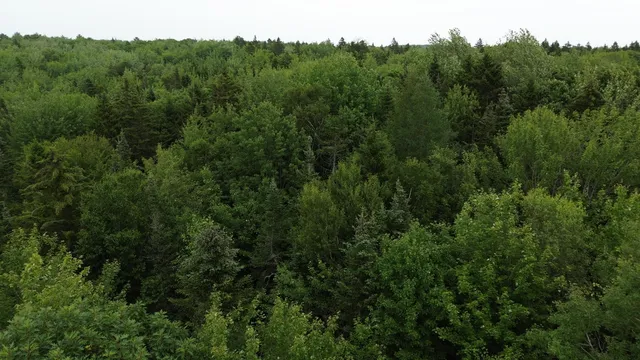 $127,500 | M5-l13-3 Spruce Head Road, South Thomaston, ME 04858