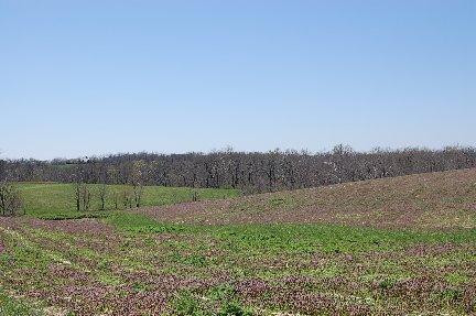 2139 Fishers Mill Road Midway, KY 40347 - Photo 5 of 9 Photo 5