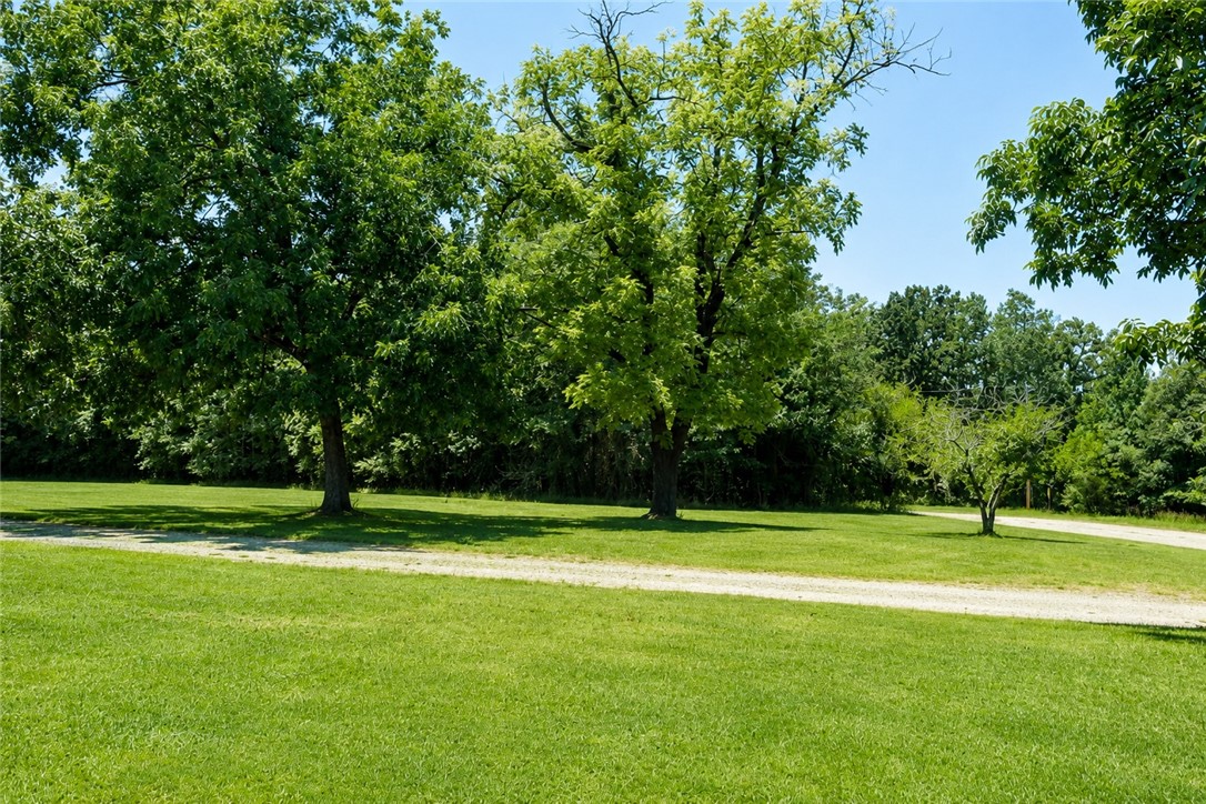 52 Old Hickory Road Hattieville, AR 72063 - Photo 9 of 35 Gallery Image 9