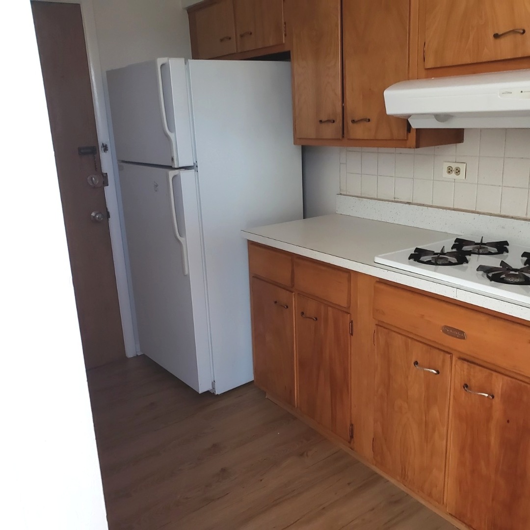8537 Niles Center Road, Unit 3B Skokie, IL 60077 - Photo 3 of 9