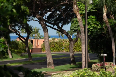 $2,995,000 | 8 Manu Ihu Place, Kihei, HI 96753