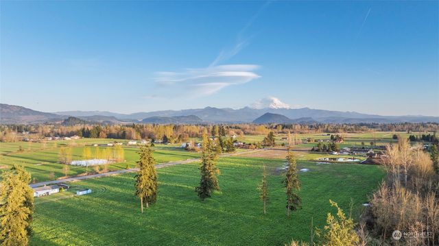 a view of a lush green space