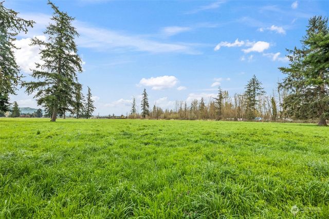 a view of a park with large trees