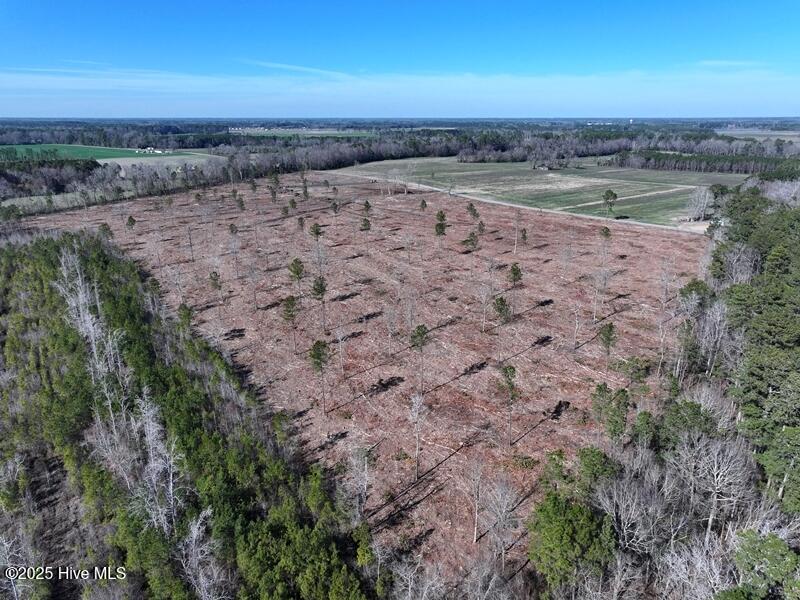 Tbd Centerville Church Road Fairmont, NC 28340 - Photo 4 of 15 DJI_20250215151153_0437_D
