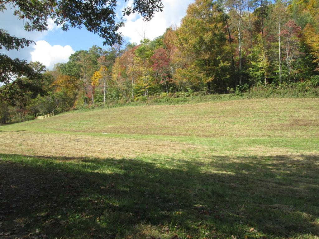 2220 Wattenbarger Gap Road Greeneville, TN 37745 - Photo 20 of 24 land in front is cleared