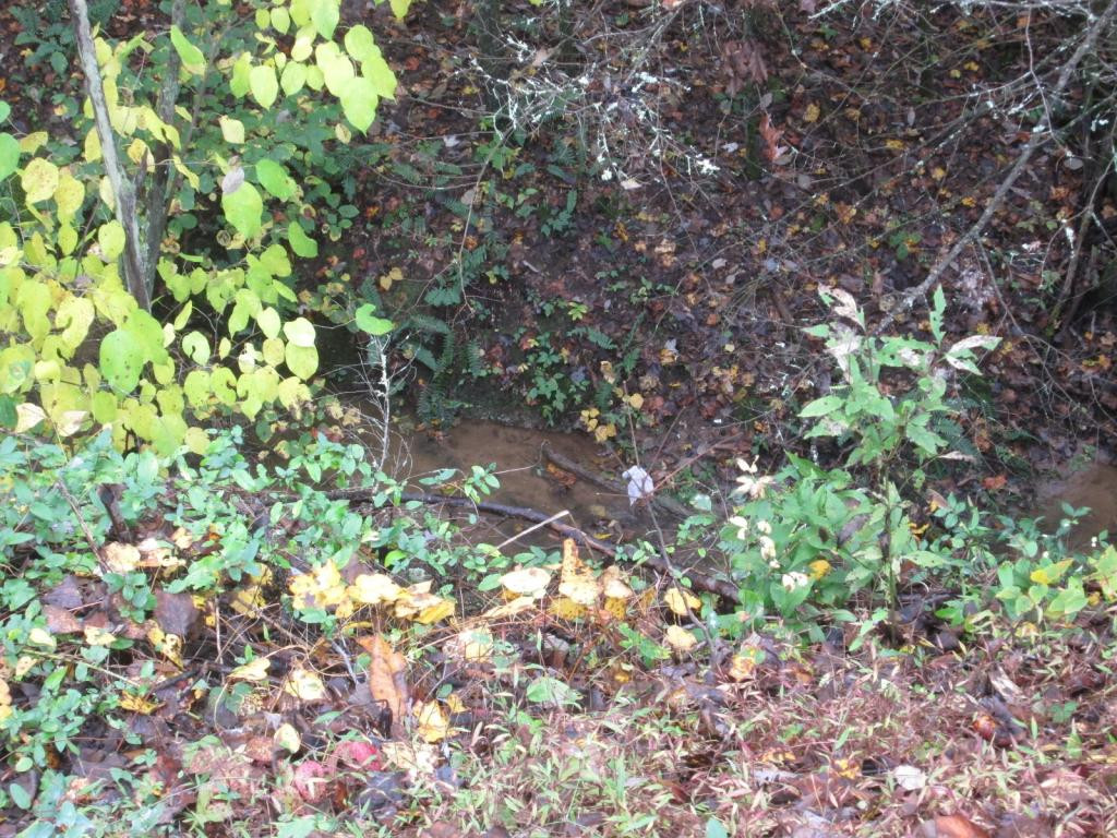 2220 Wattenbarger Gap Road Greeneville, TN 37745 - Photo 23 of 24 creek is down the hill in back
