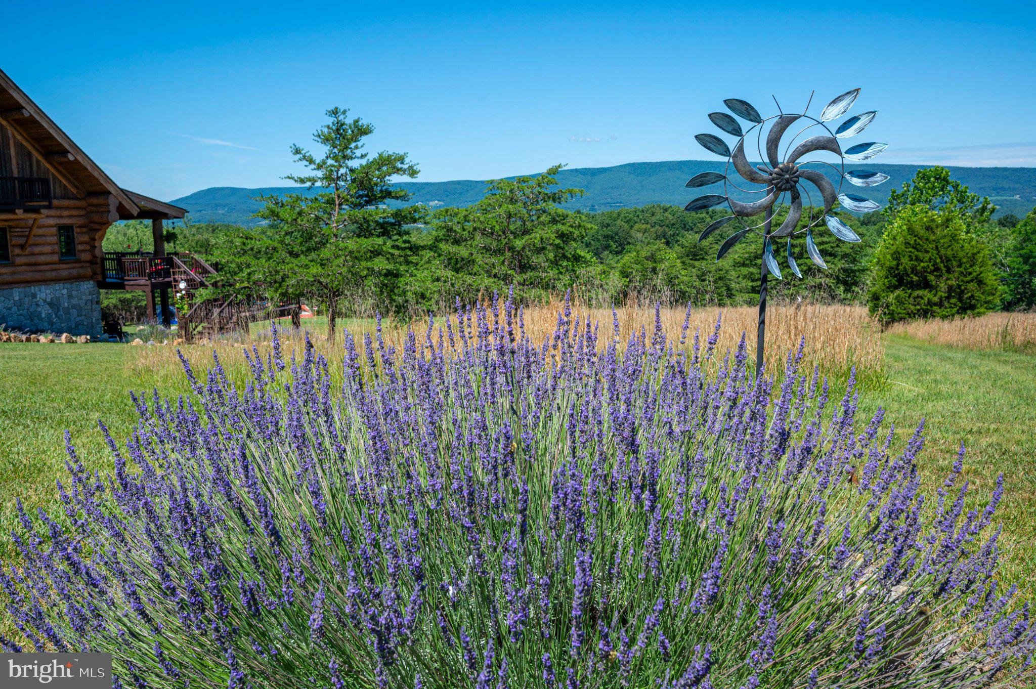 2199 Cheyennes Trail Gerrardstown, WV 25420 - Photo 55 of 63 Serene lavender fields and hills.