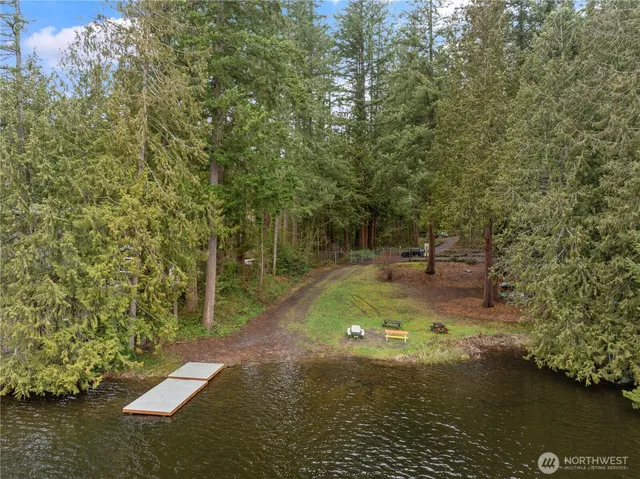 a view of a lake with a mountain and a forest