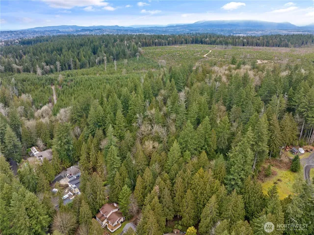 a view of an outdoor space and a yard
