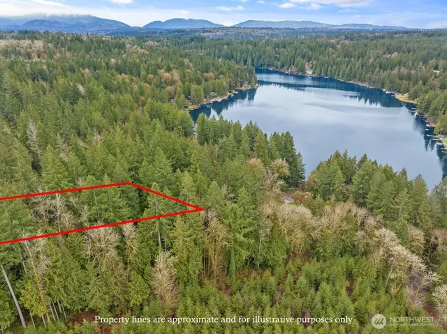 a view of a lush green field with lots of bushes