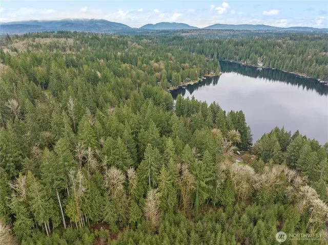 an aerial view of green landscape with trees houses and lake view