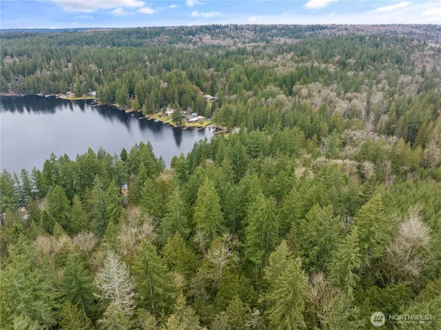 an aerial view of lake and residential houses with outdoor space and trees