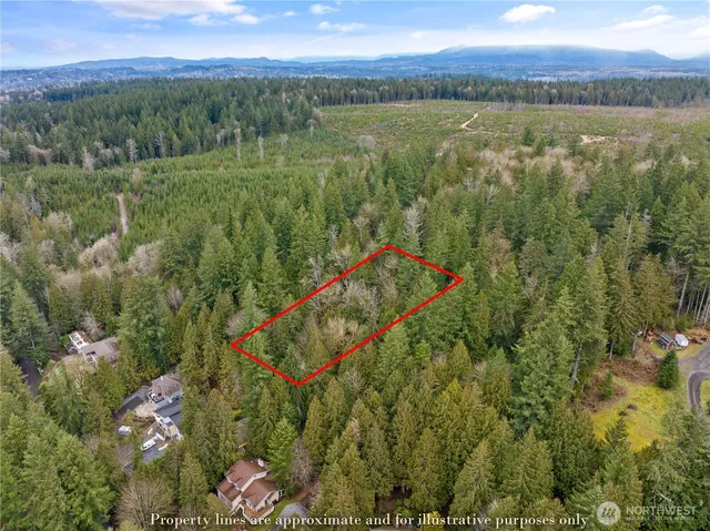 a view of a yard with an outdoor space