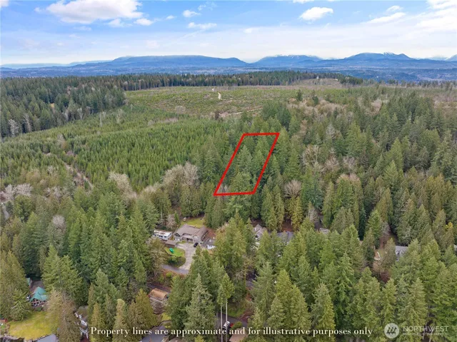 a view of a city with lots of trees