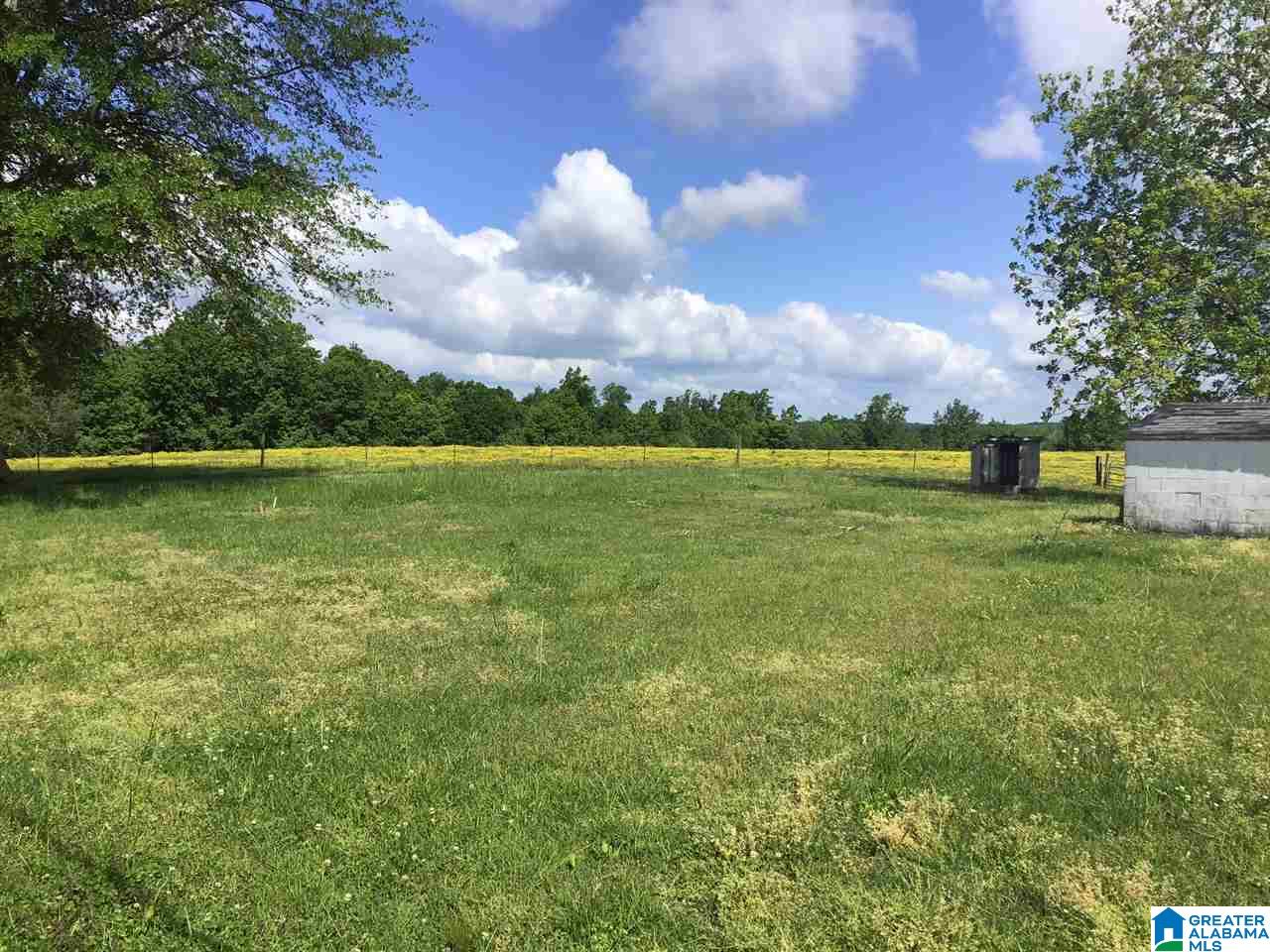 959 Shady Grove Road Phil Campbell, AL 35581 - Photo 8 of 28 Gallery Image 8