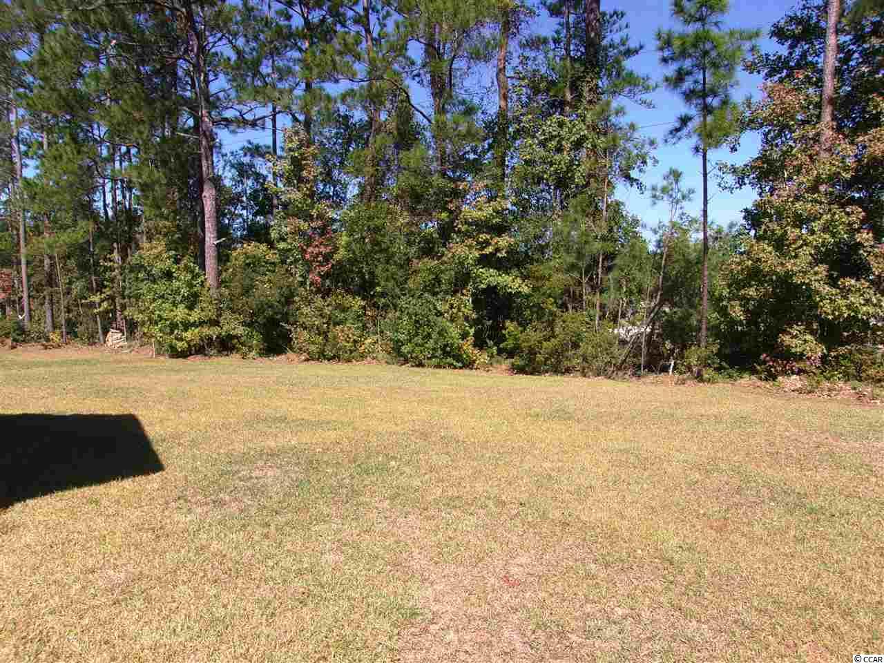 748 Shenanigan Loop Murrells Inlet, SC 29576 - Photo 16 of 17 Gallery Image 16