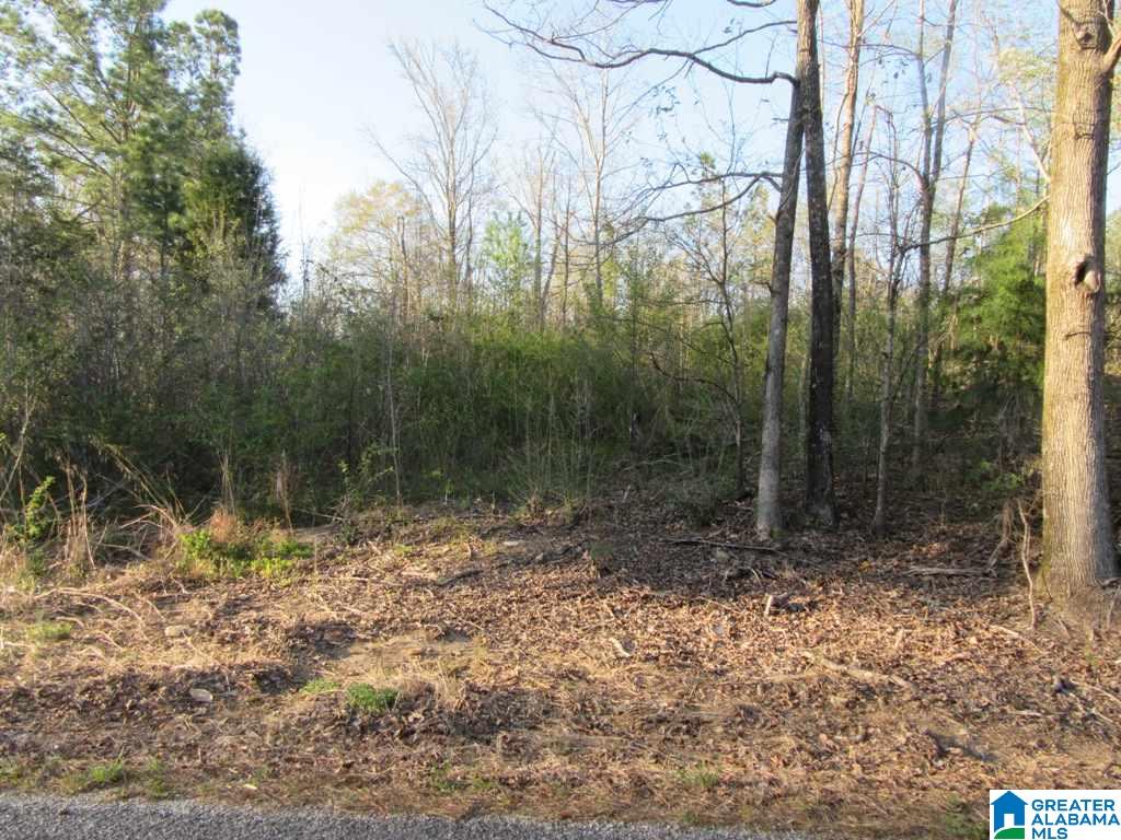 0 Cedar Springs Road, Unit 1 Talladega, AL 35160 - Photo 5 of 8