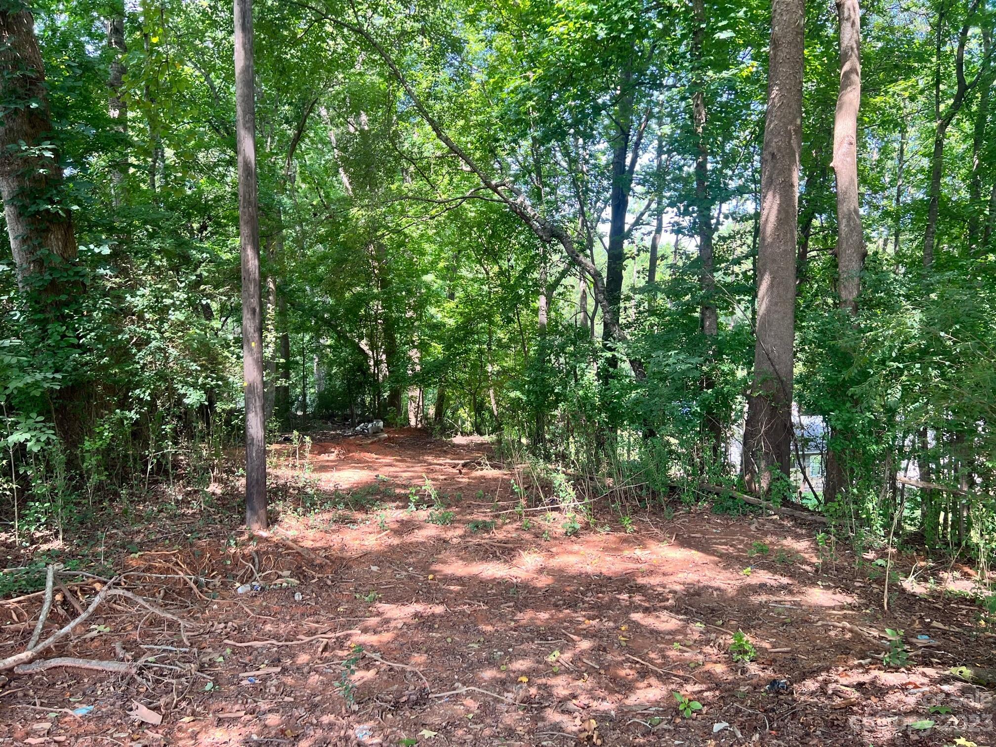 11753 Harrisburg Road Indian Land, SC 29707 - Photo 6 of 7 Gallery Image 6