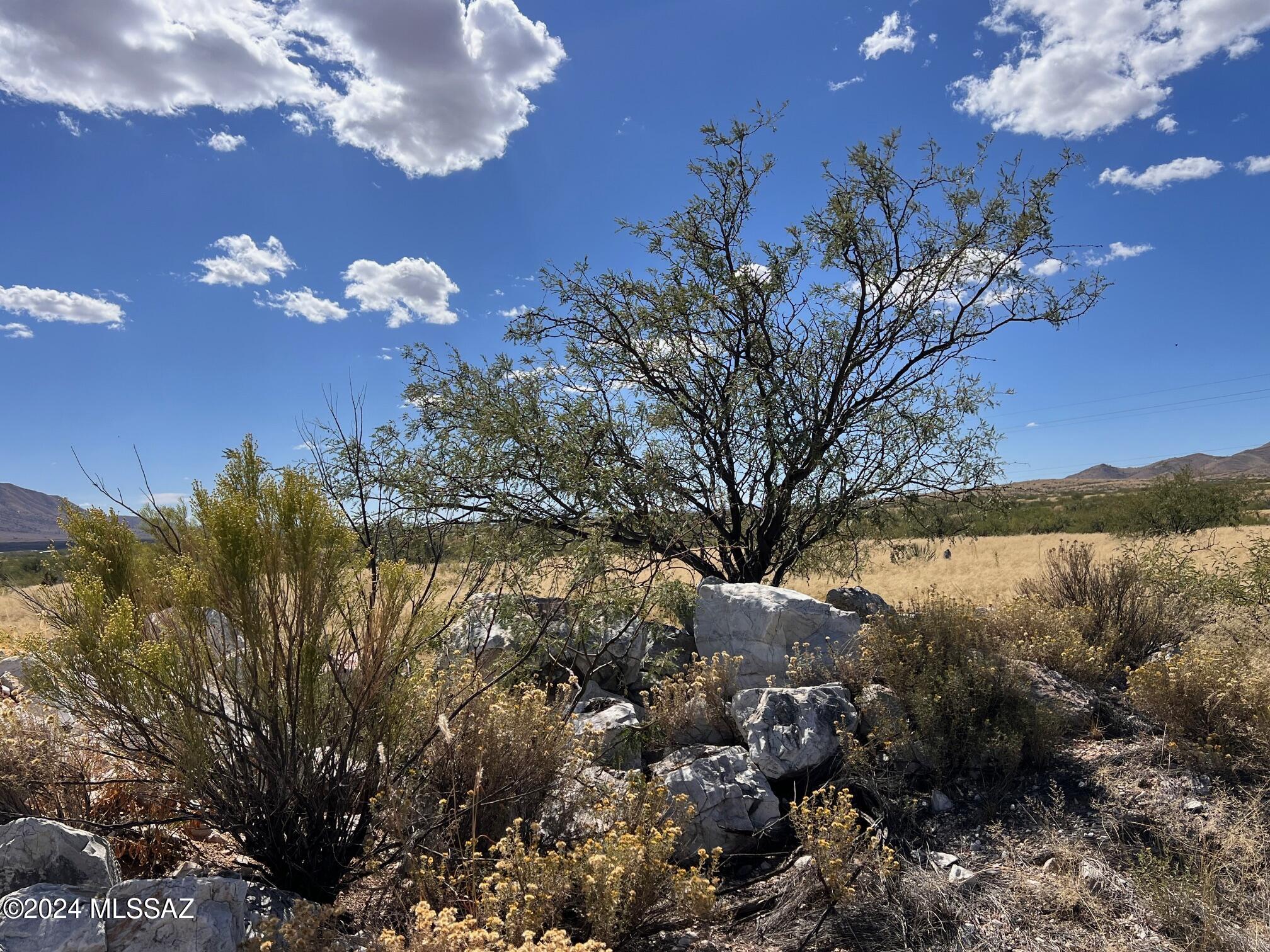 5.40-ac North Johnson Road Dragoon, AZ 85609 - Photo 8 of 15