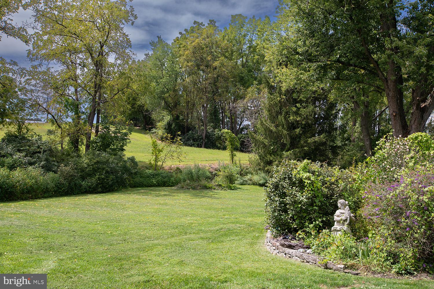 385 Albright Road Kutztown, PA 19530 - Photo 11 of 36 a view of a yard with plants and large trees