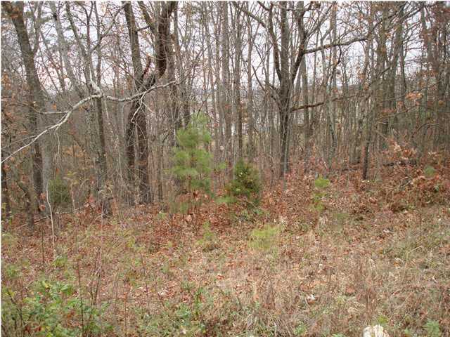1827 Millard Road Soddy Daisy, TN 37379 - Photo 2 of 8 Additional Photo