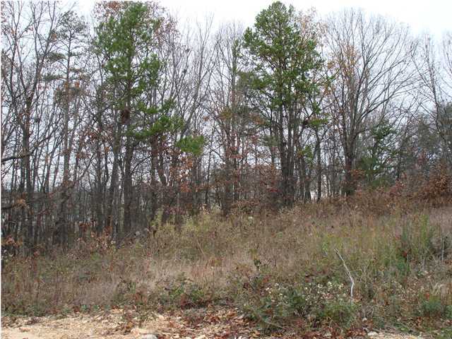 1827 Millard Road Soddy Daisy, TN 37379 - Photo 3 of 8 Additional Photo