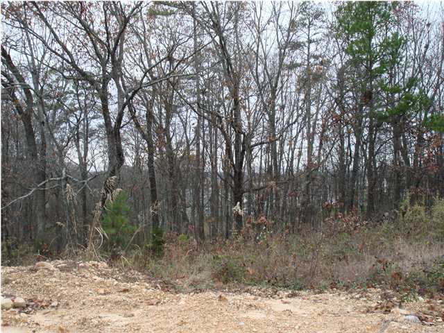 1827 Millard Road Soddy Daisy, TN 37379 - Photo 4 of 8 Additional Photo