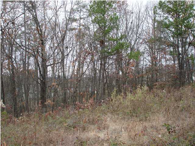 1827 Millard Road Soddy Daisy, TN 37379 - Photo 5 of 8 Additional Photo
