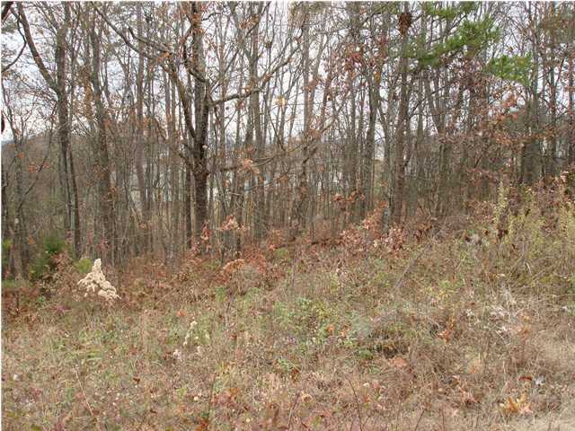 1827 Millard Road Soddy Daisy, TN 37379 - Photo 6 of 8 Additional Photo