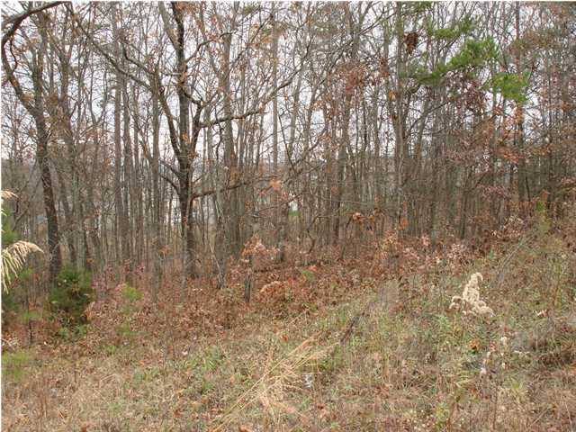 1827 Millard Road Soddy Daisy, TN 37379 - Photo 7 of 8 Additional Photo