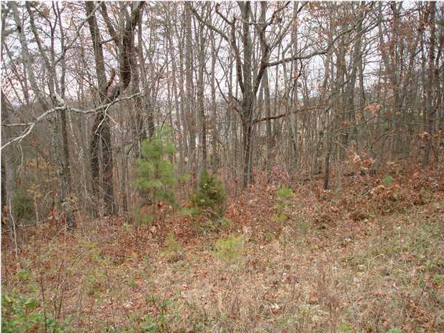 1827 Millard Road Soddy Daisy, TN 37379 - Photo 8 of 8 Additional Photo