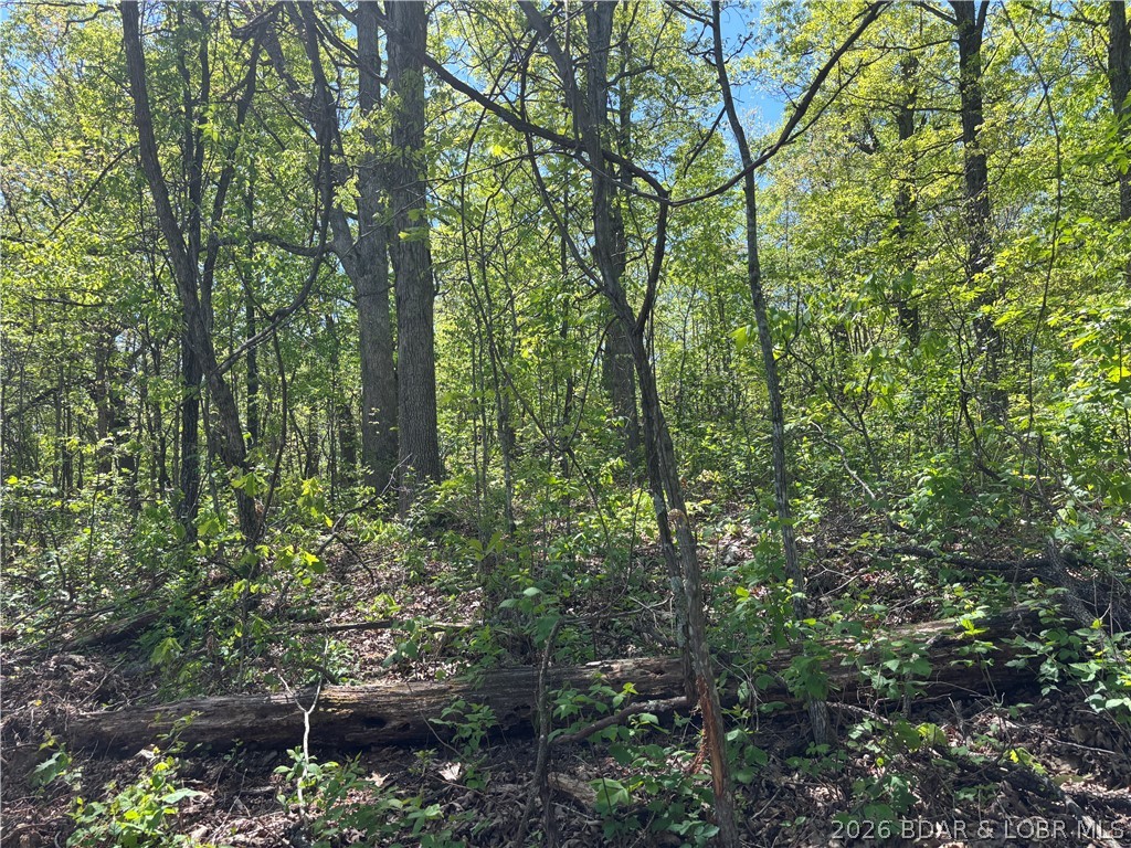 4.92 Ivy Bend Road Stover, MO 65078 - Photo 2 of 9