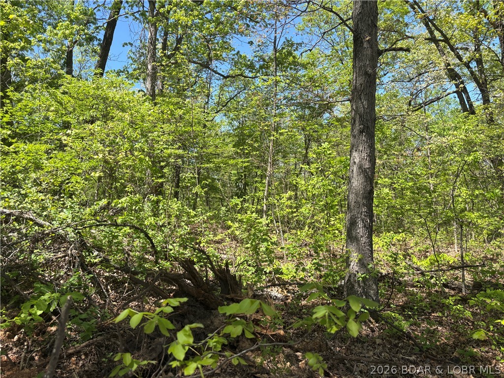 4.92 Ivy Bend Road Stover, MO 65078 - Photo 3 of 9