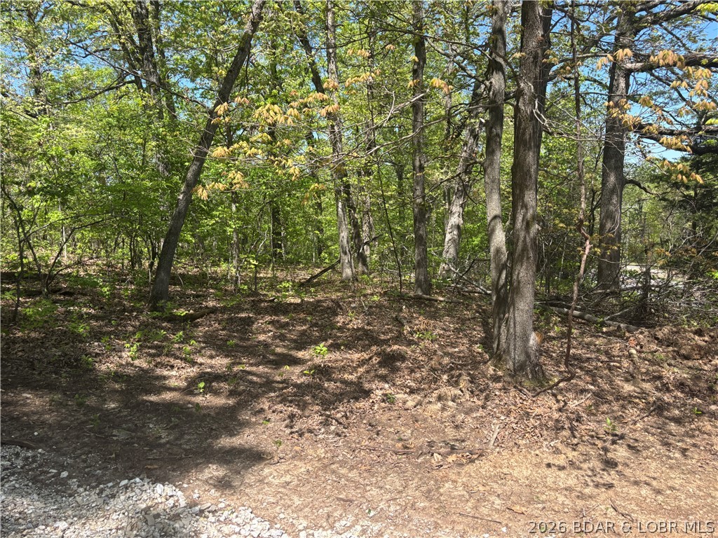 4.92 Ivy Bend Road Stover, MO 65078 - Photo 4 of 9