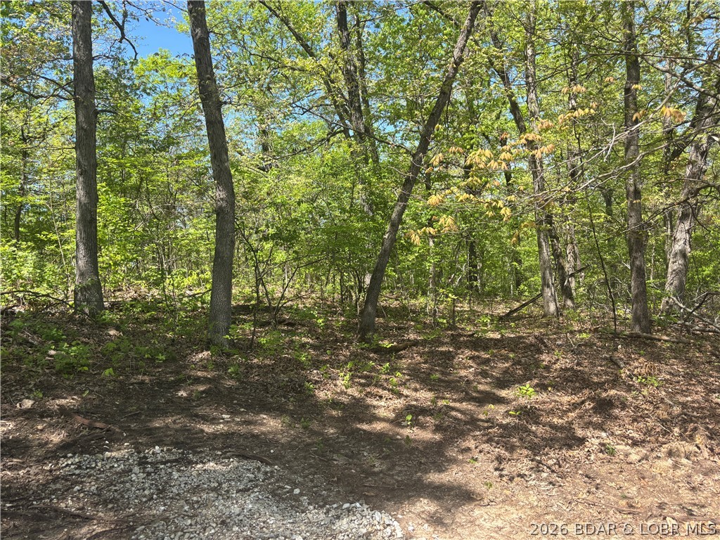 4.92 Ivy Bend Road Stover, MO 65078 - Photo 5 of 9